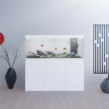 Aquarium Tout en Un 300 Litres