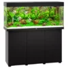 Aquariums de Bureau  tout équipé - 240 Litres