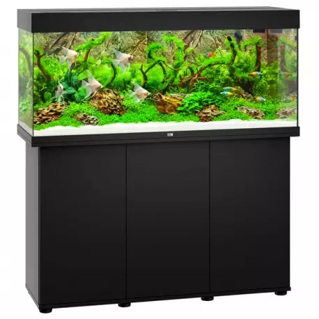Aquariums de Bureau  tout équipé - 240 Litres