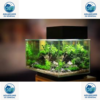 Aquariums sur mesure