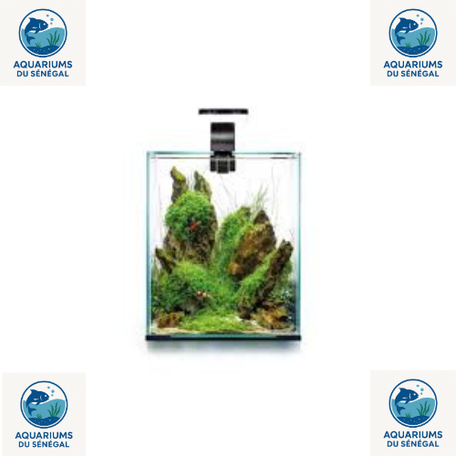 Nano-aquariums