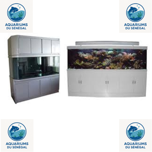 Aquariums sur mesure