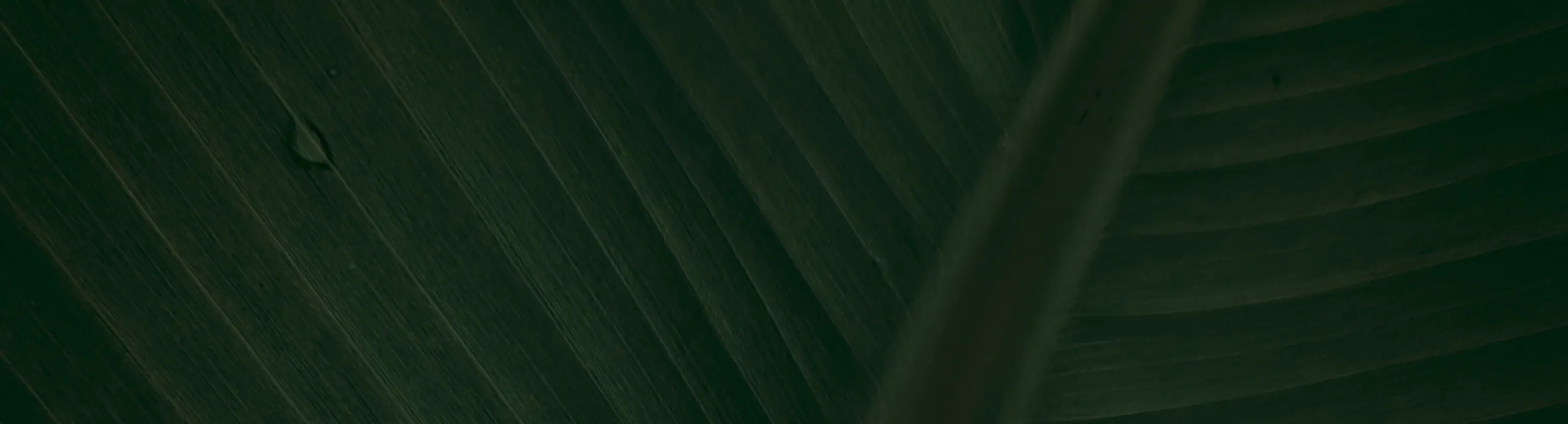 Aquarium Tout en Un 300 Litres